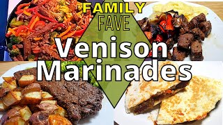 4 Favorite VENISON Marinades  How to MARINATE Deer Meat  The Best wild game recipes [upl. by Mat]