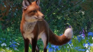 PLANET ZOO Red Fox Habitat Build [upl. by Blank]