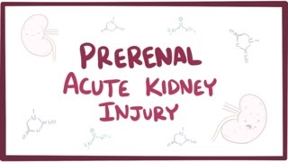 Prerenal acute kidney injury acute renal failure  causes symptoms amp pathology [upl. by Whiney]