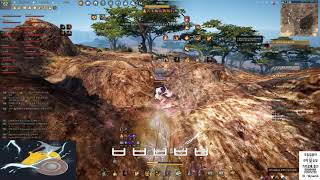 검은사막 가디언 전승 1단계 중급 거점전 8 BDO Guardian Succession T1 Node war [upl. by Arola993]