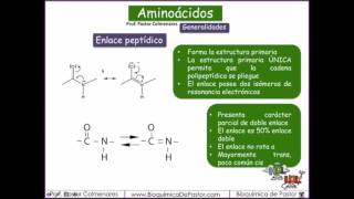 Aminoácidos Generalidades  Parte I [upl. by Elias]