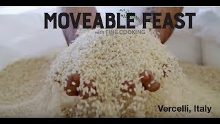 Tomato Risotto and Hazelnut Ice Cream in Vercelli Italy on Moveable Feast with Fine Cooking [upl. by Brittany]