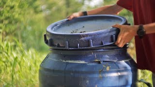 How To Make Free Liquid Fertilizer From Almost Anything with this Ancient Method [upl. by Aihsaei]