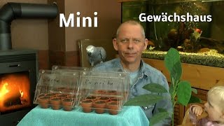 Mini Gewächshaus Anzucht von Gemüsepflanzen [upl. by Drareg530]