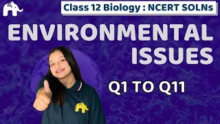 Environmental Issues Class 12 Biology  Chapter 16  NCERT Solutions Questions 111 [upl. by Melcher]