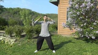 Beginner Qigong 8 Movements Baduanjin 八段錦  The Eight Silken Brocade [upl. by Hume]