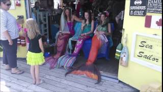 Canada Day with Halifax Mermaids 2014 Shore Things [upl. by Uot]