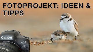 Was ich jedem Fotografen empfehlen kann  Fotoprojekt Vogelfotografie [upl. by Rawden404]