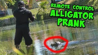 Remote Control ALLIGATOR PRANK Scares Fisherman [upl. by Cassandre]