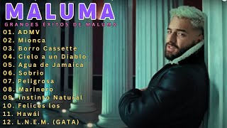 Maluma  ADMV  Mix Exitos 2024 Las Mejores Canciones [upl. by Enihpled]