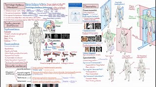 Anatomía Curso Completo Tema 2 Sujeto anatómico y planimetría [upl. by Uziel373]