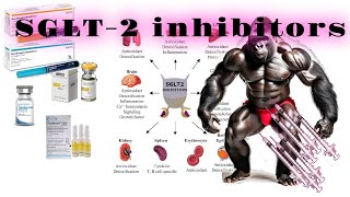 SGLT2 Inhibitors Beyond Kidney Protection [upl. by Nierman]