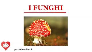 I Funghi  portalebambiniit [upl. by Ennaej]