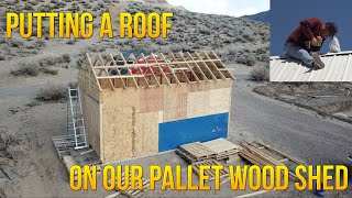 Pallet Shed Part 2  The Roof [upl. by Gonzalez635]