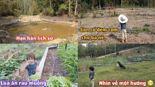 Vợ Việt Chồng Amish đối diện với cơn hạn hán lịch sử hệ thống tưới nước tự động cho 5 mẫu đất [upl. by Ettennaj]