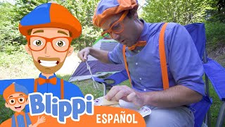 Blippi visita un Campamento  Aprende con Blippi  Videos Educativos [upl. by Woodley]