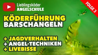 Köderführung zum Angeln auf Barsche mit dem Gummifisch Staffel 1 Folge 3 [upl. by Othe]