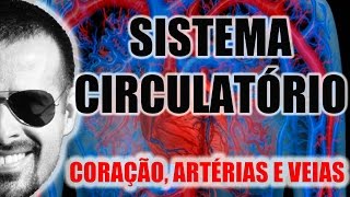 Sistema Circulatório  O coração as artérias e as veias  Anatomia Humana  VideoAula 003 [upl. by Vernen724]