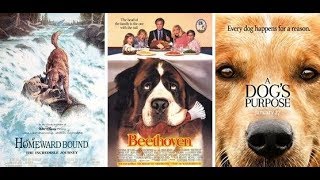 Top 25 Movies For Dog Lovers [upl. by Jasen]