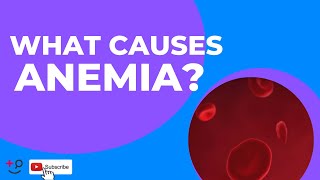 Anemia Causes How Did This Happen Learn More About Anemia Here [upl. by Sontich]