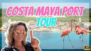 Costa Maya Cruise Port Tour [upl. by Giarg324]