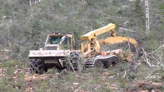 Skidder Tigercat 635D with ECO Soft 26 [upl. by Rodgers]