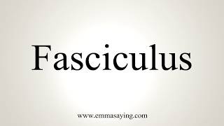 How To Pronounce Fasciculus [upl. by Onirefes]