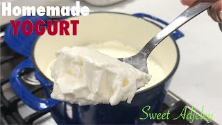 HOW TO MAKE YOGURT AT HOME WITH amp WITHOUT A YOGURT STARTER  HOMEMADE YOGURT FROM SCRATCH [upl. by Hsihsa]