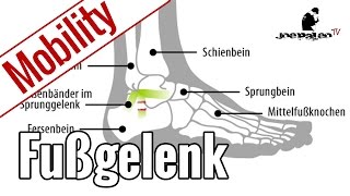 Übungen für mehr Beweglichkeit im Fußgelenk  Ankle Mobility [upl. by Notsnorb]