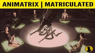 THE ANIMATRIX  Matriculated  Fnally Explained [upl. by Elleinahc]