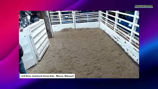 Lolli Bros Livestock Market Horse Sale  Macon MO [upl. by Neilla]