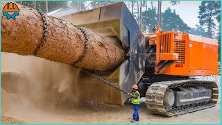 606 EXTREME Dangerous Huge Wood Chipper Machines  Best Of The Week [upl. by Scheer]