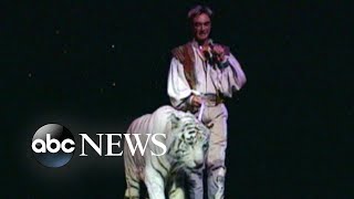 New allegations about onstage attack in Siegfried and Roy show [upl. by Eveivenej]