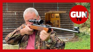 BSA Ultra SE review  Cheap and Accurate Air Rifle  Great For Beginners [upl. by Reyotal26]