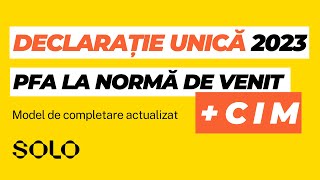 Model completare Declarație Unică 2023 pentru PFA la Normă de venit  CIM contract de muncă [upl. by Stortz]