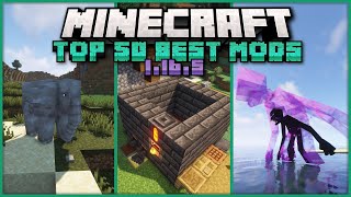 Top 50 Best Mods for Minecraft 1165  Ep 2 Tinkers Construct Mowzies Mobs Twilight Forest [upl. by Rawdin]