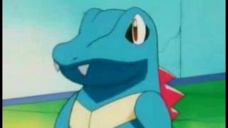 Totodile 3 3 [upl. by Irahc]