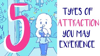 5 Types of Attraction You May Experience [upl. by Ellivnarg649]