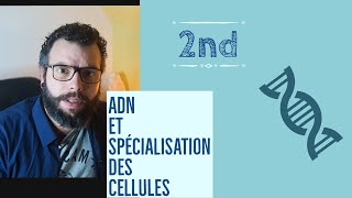 SVT seconde  ADN et spécialisation des cellules [upl. by Ailat]