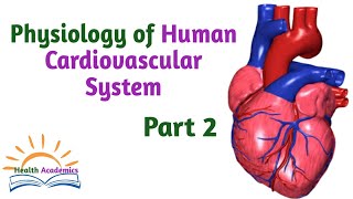 Physiology of Cardiovascular System Part 2 Helpful Video Lecture in Amharic Speech Watch it [upl. by Orpah]