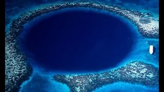 Diver Explore the bottom Great Blue Hole of Belize at 390 feet deep Be amazed what he found there [upl. by Gwenore174]