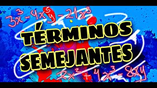 Que son los Términos semejantes en matemáticas ejemplos [upl. by Hoxie382]