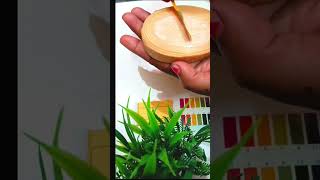 Mysore sandal soap pH level testphtestingphlevel mysoresandalsoapshorts viralvideoviralshorts [upl. by Navillus]