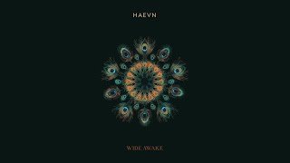 HAEVN  Wide Awake New Album  Out Now [upl. by Allicsirp863]