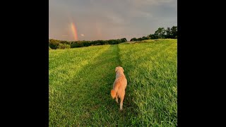 Mary Chapin Carpenter  Songs From Home Episode 20 I Take My Chances [upl. by Schapira]