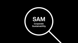 SampP Global ESG Scores [upl. by Norel]