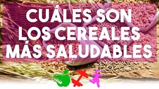 Cuáles son los cereales más saludable DGS Brenda [upl. by Queston947]