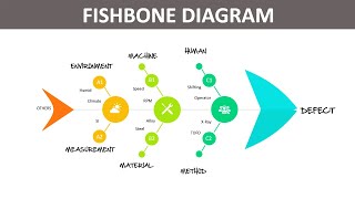 Fishbone Diagram in PowerPoint [upl. by Eerrehc]