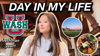 WASHU DAY IN MY LIFE [upl. by Aubrey]