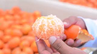 Beneficios y Propiedades de la Mandarina para la Salud [upl. by Ahseek141]